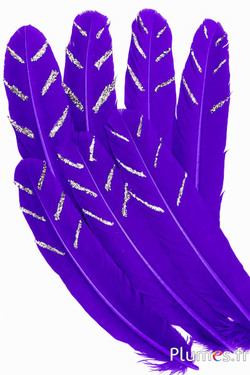 Gans meerkleurige glitters - 25-30 cm - paars